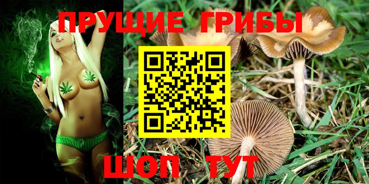 Псилоцибиновые грибы Cubensis  Вход с VPN  Воркута 